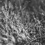 India’s Water Crisis 2026: Saving Every Drop for a Thirsty Nation