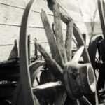 India’s Population 2026: 1.44 Billion People and the Demographic Dividend