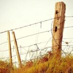 Startups Changing India 2026: Zepto, Meesho and the Next Unicorns