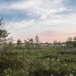 India’s Renewable Energy Revolution: Solar, Wind and Green Hydrogen